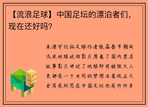 【流浪足球】中国足坛的漂泊者们，现在还好吗？